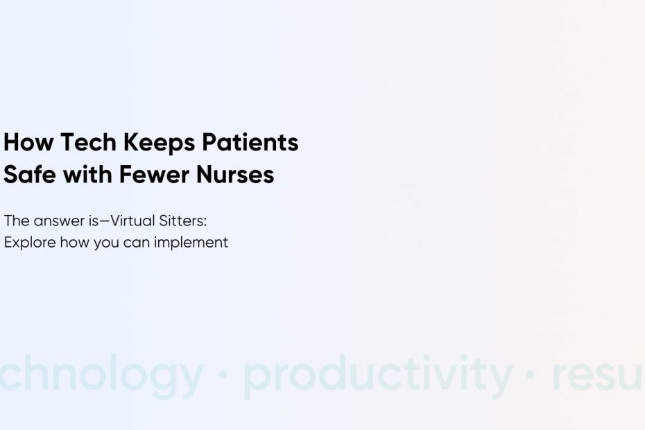 How to Implement a Virtual Sitters Solution: Challenges, Technology, and Costs